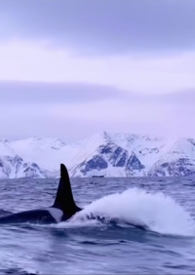 重新救赎偏执反派后[快穿]