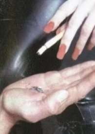 [综漫] 注意！乙女游戏入侵中