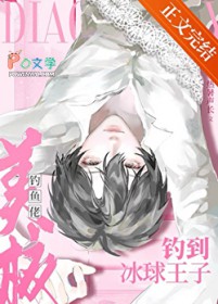 番茄生长观察日志