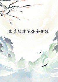 夫人你人设崩了洛心辰