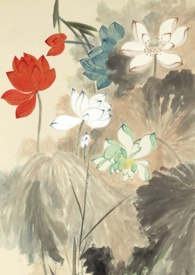 末世随机摆摊，我被各大基地疯抢