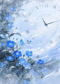 隐身侍卫(隐身之超级保镖)