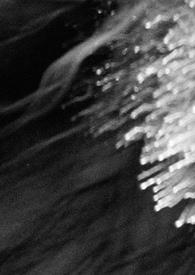 女装大佬他又在浪了