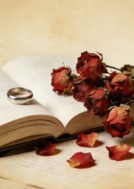 穿成香饽饽后我在星球挑丈夫