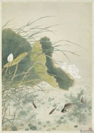 万人迷男主饲养手册（系统 快穿 高H）