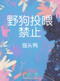 玩家的海盗模拟器