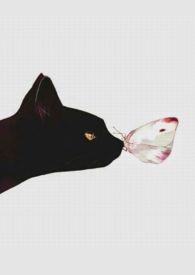 [综漫] 综漫不会对大学生好一点的