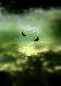 氪命游戏[无限流]