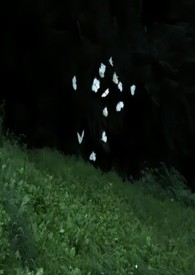 万人迷被阴湿异形缠上后