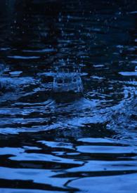 我。招财猫。旺夫