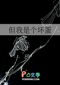 重返十七岁的球场王者