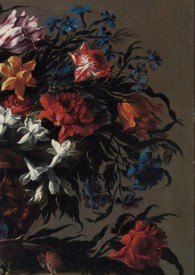 穿为恶龙后被圣女缠上了