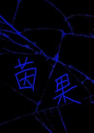 穿书之系统教我追女人