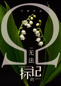 掌事女官[清穿]