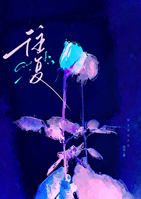 只有我与你知晓的夜晚