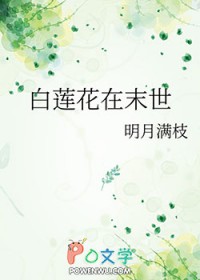 低俗万人迷（快穿np）女尊小凤凰篇