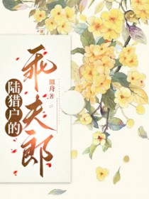 勇者和她的牲畜们（nph）