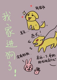 七零炮灰美人又改嫁了