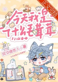 茶花与玻璃糖纸