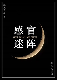 中关村白昼不止