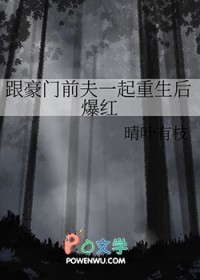 跨国总裁的百慕大女人