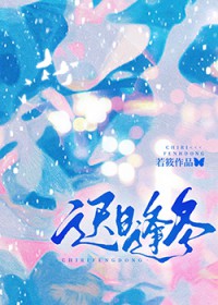 白桦林的永恒夏日