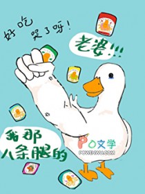 四爷的外室不好当[清穿]