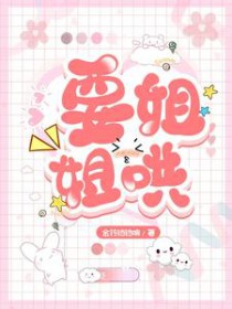 崇德纪事（清穿）