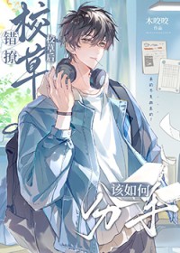 [HP] 开局凤凰社但英语稀烂