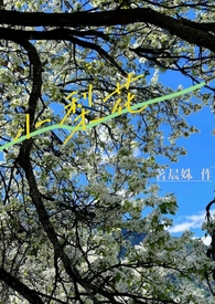 鸟爷的悠闲生活