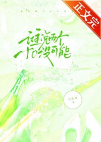 极品美女的贴身保安