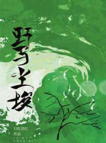 重生崽崽上娃综孝出强大