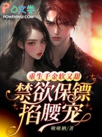 婉清，我们可不可再继续