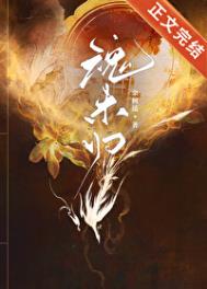 寻找走丢的舰娘