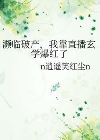 口袋妖怪之不屈之魂