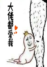 黎先生，后会无妻