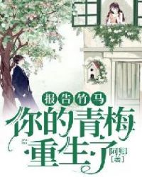 从契约精灵开始