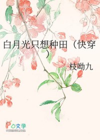 穿书成反派大佬的炮灰前妻