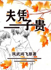 [综漫] 那什么的并盛町