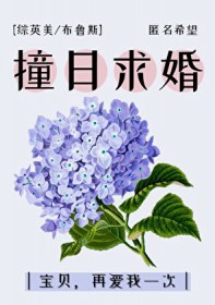 残疾女alpha总被觊觎