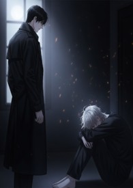 赵云柳如心永恒之门