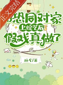 我的绝美总裁老婆