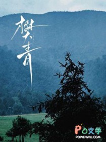 梦里花（强制、NP）