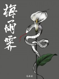 重生再嫁皇胄，我只想乱帝心夺凤位