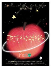 [综漫] 火拳的看家副船长