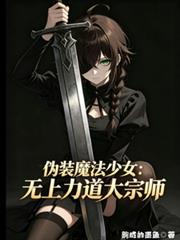 伪装魔法少女：无上力道大宗师