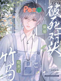 救命，修真界怎么都是颠公颠婆