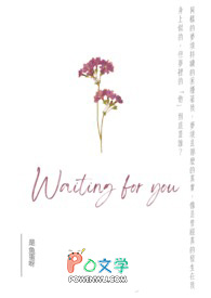 飞鸿踏雪琐忆十轮伏影刀