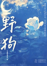 一天一个新设定