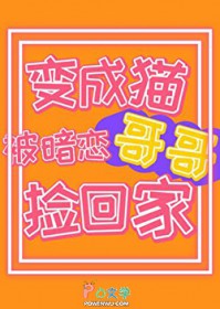 限制文路人甲觉醒了